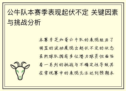 公牛队本赛季表现起伏不定 关键因素与挑战分析